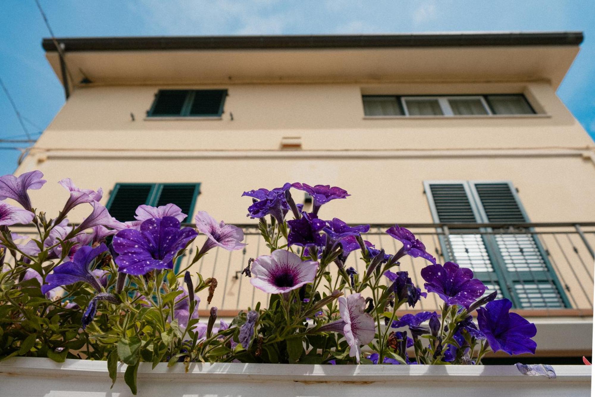 Hotel Residenza Nonno Mella Porto SantʼElpidio Exterior foto